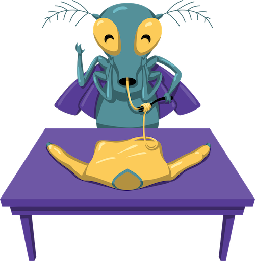 Mottenlöcher Reparatur